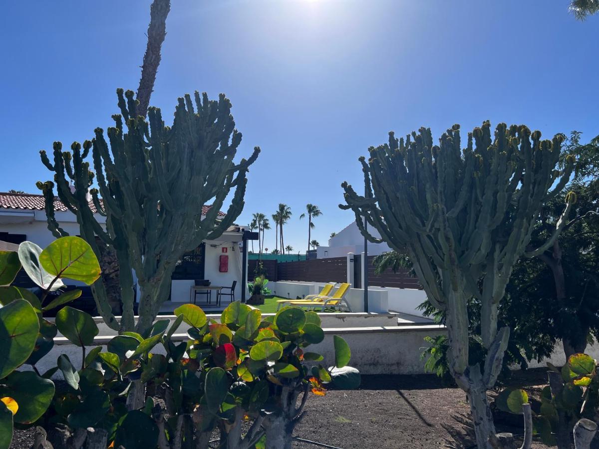 Escarabajo Bungalow Il Maggiolino マスパロマス エクステリア 写真